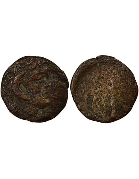 Grèce (Cyrénaïque) 1 chalque Bronze 300-277 Av JC Cyrène