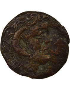 Grèce (Cyrénaïque) 1 chalque Bronze 300-277 Av JC Cyrène 2