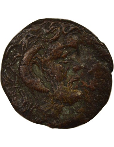 Grèce (Cyrénaïque) 1 chalque Bronze 300-277 Av JC Cyrène