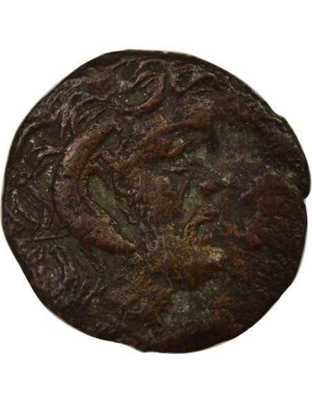 Grèce (Cyrénaïque) 1 chalque Bronze 300-277 Av JC Cyrène