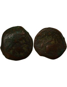 Grèce (Cyrénaïque) Ptolémée Apion 1 chalque Bronze 104-96 Av JC Cyrène