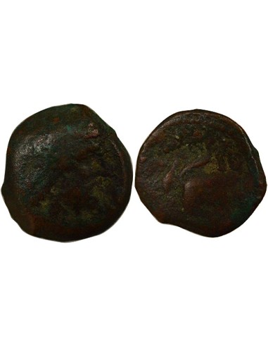 Grèce (Cyrénaïque) Ptolémée Apion 1 chalque Bronze 104-96 Av JC Cyrène