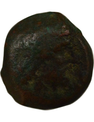 Grèce (Cyrénaïque) Ptolémée Apion 1 chalque Bronze 104-96 Av JC Cyrène