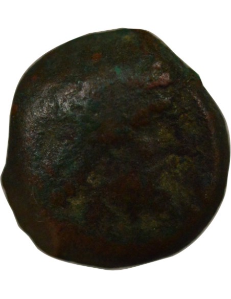 Grèce (Cyrénaïque) Ptolémée Apion 1 chalque Bronze 104-96 Av JC Cyrène