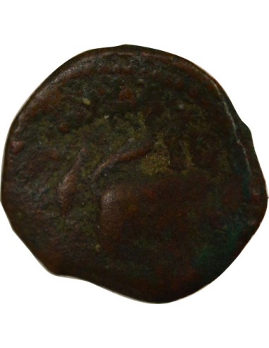 Grèce (Cyrénaïque) Ptolémée Apion 1 chalque Bronze 104-96 Av JC Cyrène