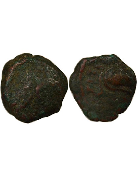 Grèce (Cyrénaïque) Ptolémée Apion 1 chalque Bronze 104-96 Av JC Cyrène