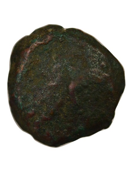 Grèce (Cyrénaïque) Ptolémée Apion 1 chalque Bronze 104-96 Av JC Cyrène