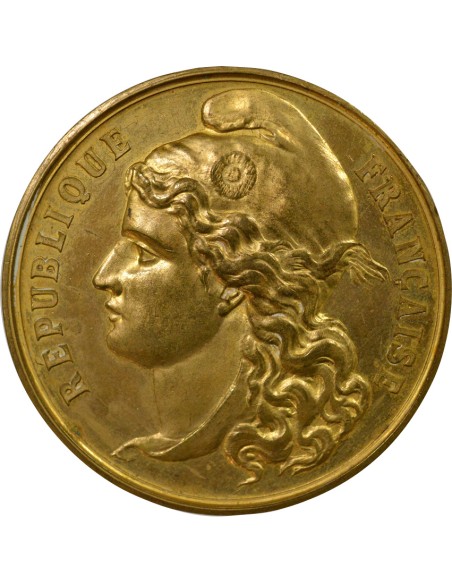 Exposition de Nantes 1 médaille Cuivre Doré 1896