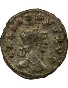 Rome Empire Gallien Providence 1 antoninien Billon 263-264 R Rome 2