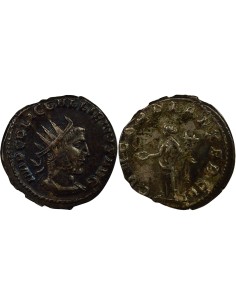 Rome Empire Gallien Concordia 1 antoninien Billon 253-254 R Rome