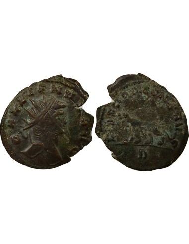 Rome Empire Gallien Panthère à gauche 1 antoninien Billon 267-268 R Rome