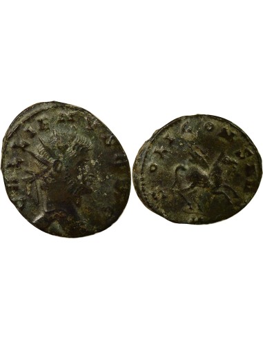 Rome Empire Gallien Bestiaire