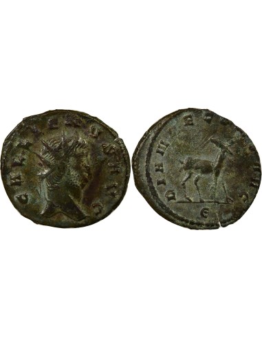 Rome Empire Gallien Bestiaire