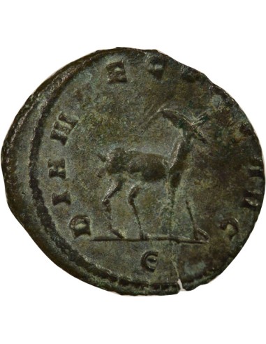 Rome Empire Gallien Bestiaire