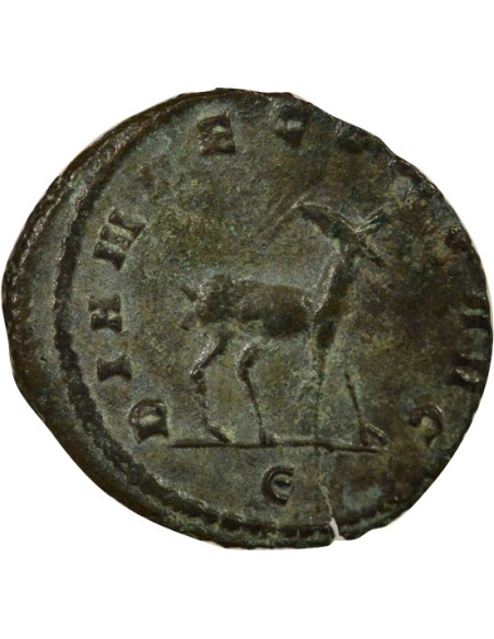 Rome Empire Gallien Bestiaire