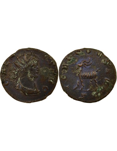 Rome Empire Gallien Bestiaire