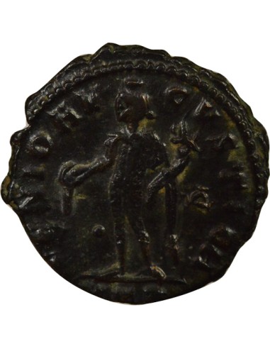 Rome Empire Maximin II Daia Génie debout 1 nummus Cuivre 312 Cyzique