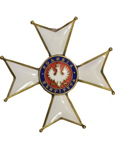 Pologne 1 médaille 2