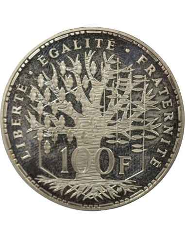 Panthéon 100 francs Argent 1991 Pessac