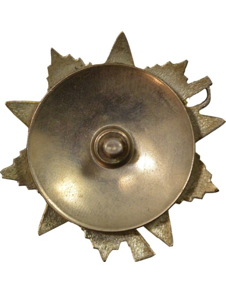 U.R.S.S. (Fédération de Russie) Ordre de la Guerre Patriotique - 2e Classe 1 médaille