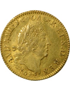 Louis XIV Aux Quatre L 1 louis d'or Or 1694 W Lille 2