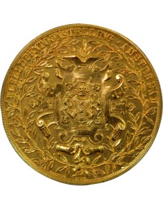 Pays-Bas Exposition Internationale d'Amsterdam 1 médaille Cuivre Doré 1895 2