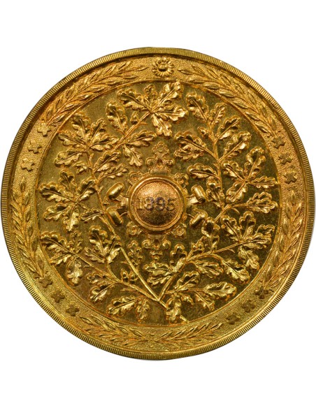 Pays-Bas Exposition Internationale d'Amsterdam 1 médaille Cuivre Doré 1895