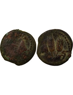 Judée Agrippa Judea