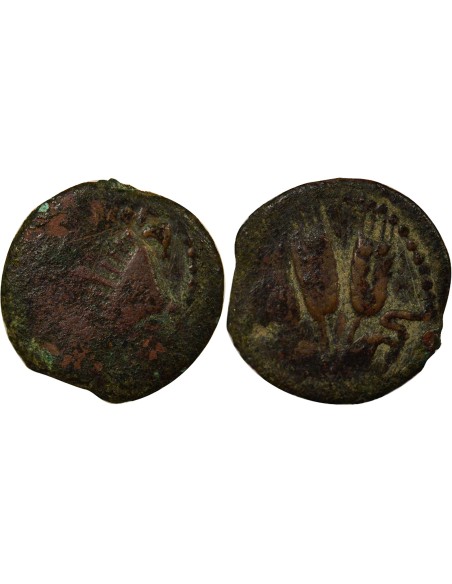 Judée Agrippa Judea