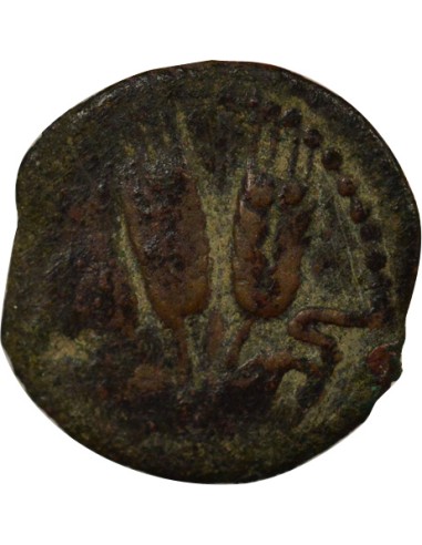 Judée Agrippa Judea