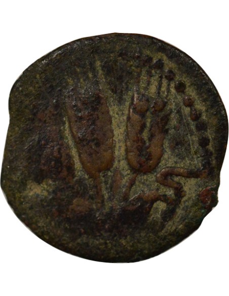 Judée Agrippa Judea