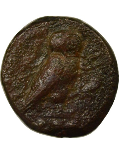 Grèce (Sicile) au Gorgonéion 1 tetras Bronze 420-405 Av JC Kamarina