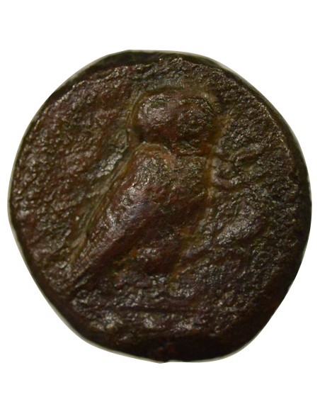 Grèce (Sicile) au Gorgonéion 1 tetras Bronze 420-405 Av JC Kamarina