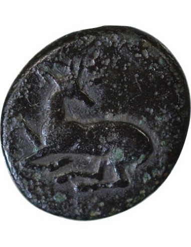 Grèce (Ionie) au cerf agenouillé 1 unite Bronze IVe siècle AV JC Ephèse