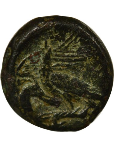 Grèce (Sicile) Apollon à droite 1/2 litra Bronze 275-241 Av JC Agrigente