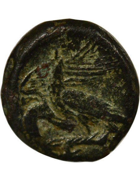 Grèce (Sicile) Apollon à droite 1/2 litra Bronze 275-241 Av JC Agrigente