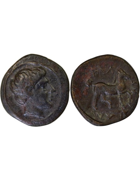 Grèce (Thessalie) Phalanna - Chalque - IIIe Siecle Av JC 1 chalque Bronze IIIe siècle Av JC Phalanna