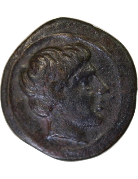 Grèce (Thessalie) Phalanna - Chalque - IIIe Siecle Av JC 1 chalque Bronze IIIe siècle Av JC Phalanna