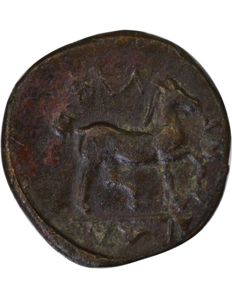 Grèce (Thessalie) Phalanna - Chalque - IIIe Siecle Av JC 1 chalque Bronze IIIe siècle Av JC Phalanna