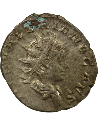 Aigle 1 antoninien Billon 259-260 Trèves