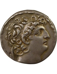 Grèce (Royaume Seleucide) Antiochos VIII Zeus Uranios 1 tétradrachme Argent 121-113 Av JC Antioche 2
