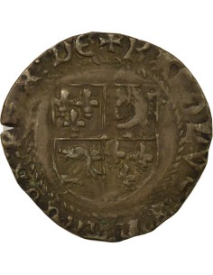 Charles VIII Dauphiné 2