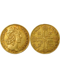 Louis XIII A la Mèche Courte 2 louis d'or Or 1640 A - Paris