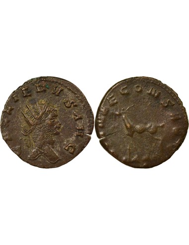 Rome Empire Gallien Antilope 1 antoninien Billon 267-268 R Rome