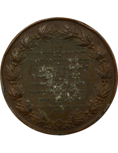 Joachim Murat Joachim Murat - Médaille Plomb plaqué Bronze - 1815 1 jeton Plomb Plaqué Bronze 1815