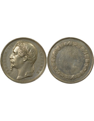 Napoléon III Napoléon III - Médaille Etain - XIXe Siècle 1 médaille Etain XIXe Siècle