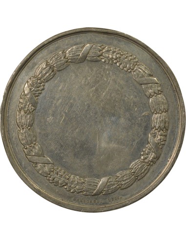 Napoléon III Napoléon III - Médaille Etain - XIXe Siècle 1 médaille Etain XIXe Siècle