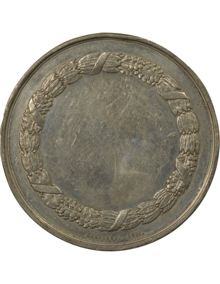 Napoléon III Napoléon III - Médaille Etain - XIXe Siècle 1 médaille Etain XIXe Siècle