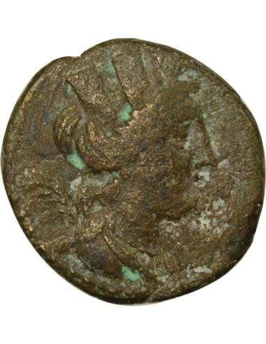 Grèce (Phénicie) Poséidon sur Aplustre 1 ae Bronze An 128 (132-131 Av JC) Arados