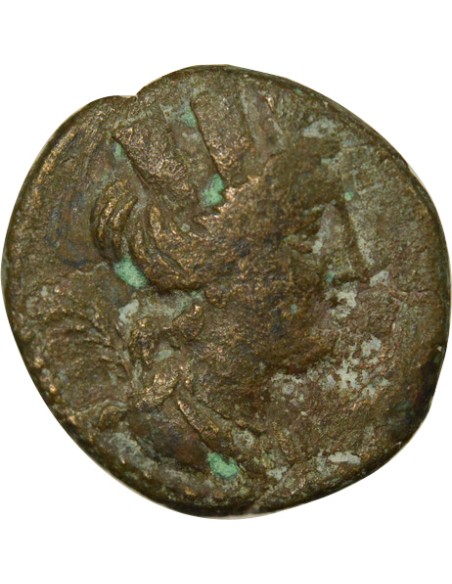Grèce (Phénicie) Poséidon sur Aplustre 1 ae Bronze An 128 (132-131 Av JC) Arados